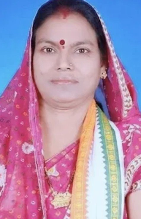 नेता प्रतिपक्ष ने कलेक्टर को सौंपा ज्ञापन, सरकारी संपत्ति के दुरुपयोग का आरोप