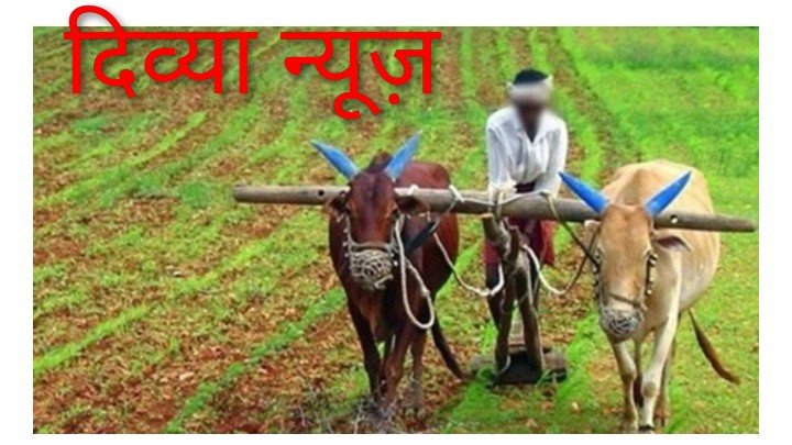 किसानों के लिए अलर्ट: फसल बीमा का लाभ लेने 31 जुलाई तक कराएं पंजीयन