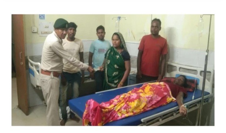 हाथियों के करीब जाकर वीडियो बनाना पड़ा भारी: आक्रामक हुए गजराज,कोरबा के जंगल में मची अफरातफरी